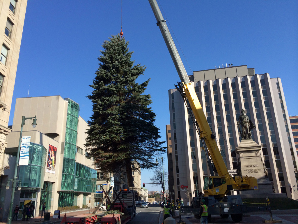 Tree-Lifted-at-Square