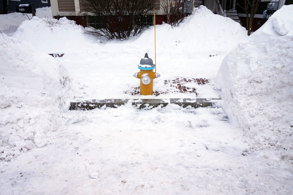 West End News - Winter Storm Services - Fire hydrant dug out from snow in West End