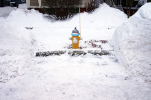 Fire hydrant dug out from snow in West End