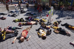 West End News - Colony Collapse Disorder - March Against Monsanto Bee Die-in