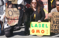 Anti-GMO Labeling Bill (DARK Act) Passes US House