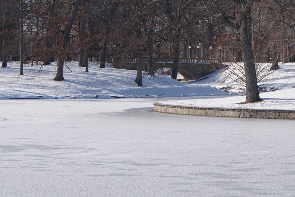 Deering Oaks Ice Pond
