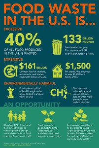 Food Waste Infographic