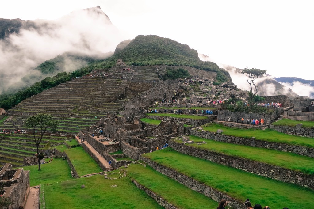 West End News, Intensive Gardening, Machu Picchu