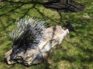 West End News; Replaced porcupine statue