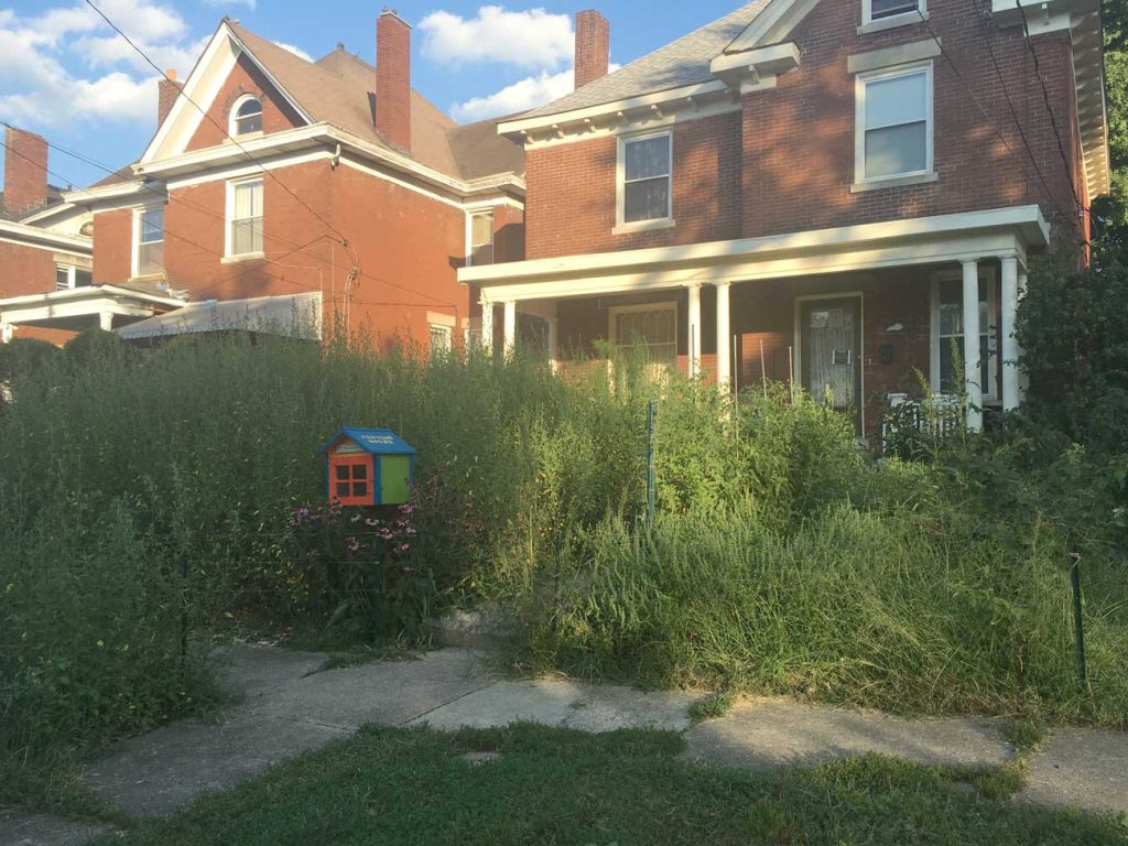 West End News - Season's End - Cover (Weeds) in front lawn