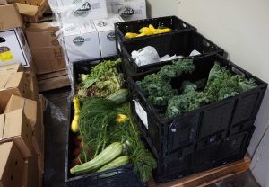West End News - Rescued food - Rescued veggies in cooler