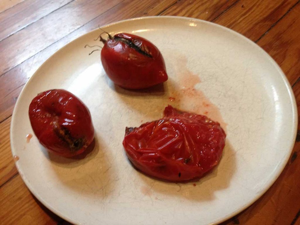 West End News - Seed Saving - Overripe tomato