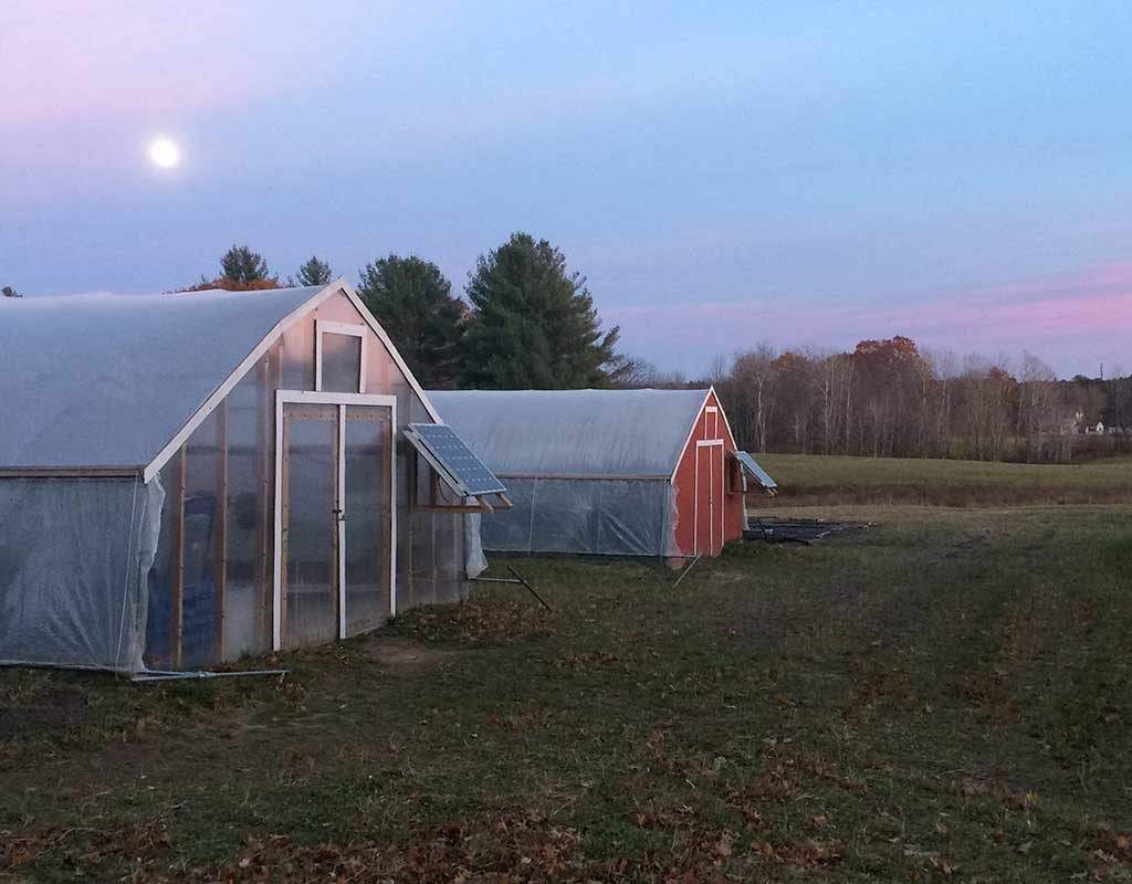 West End News - Replenova Farm - Greenhouses