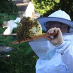 West End News - Keeping Bees - Christian Torp