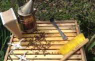 Keeping Bees Part I - Tools and Resources