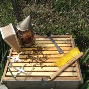 West End News - Keeping Bees - Hive and tools