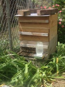 West End News - All A'Buzz Beehives - Langstroth beehive