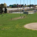 West End News - Pesticide ordinance - Deering Oaks Park athletic field