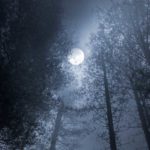 West End News - Astrological Forecast November 2017 - Moon over winter wood