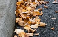 Leaves In Bags, Please - Curbside Leaf Collection Begins