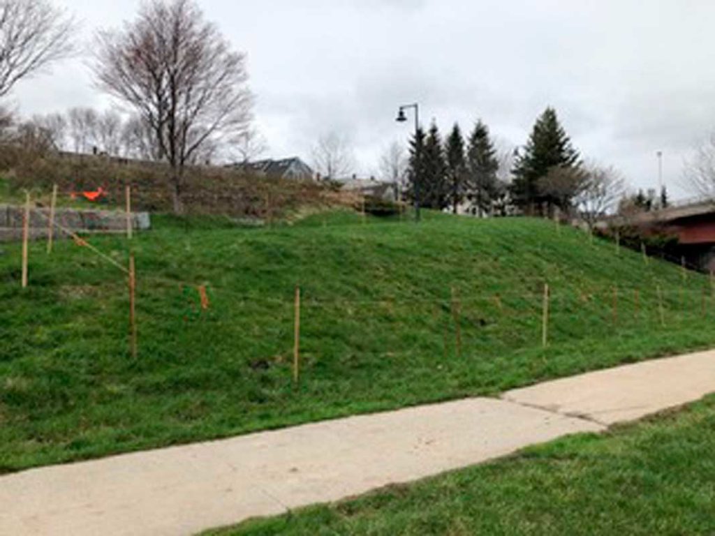 West End News - Growing Harbor View Park - The Meadow to be by Kent Redford