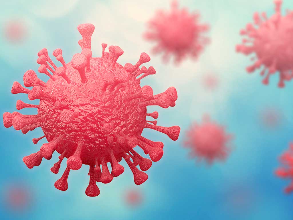 West End News - Wellness During Covid-19 - Coronavirus 3d rendering by Near/Adobe Stock