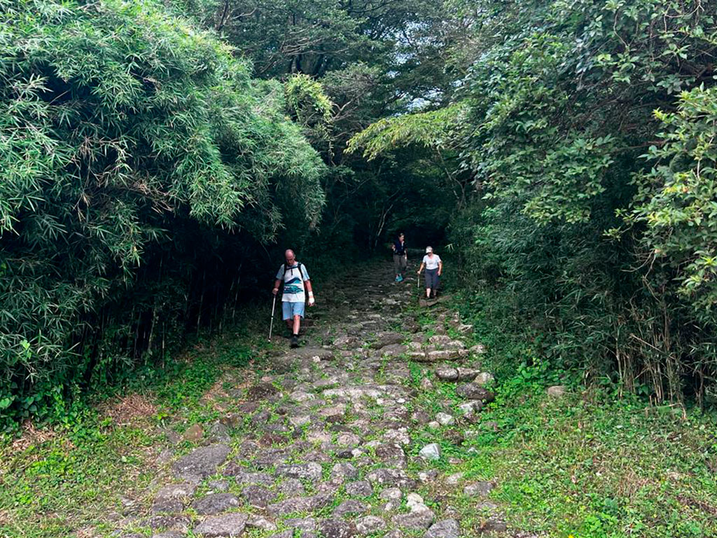 West End News - Hiking Hakone -Tokyo's Ancient Roads