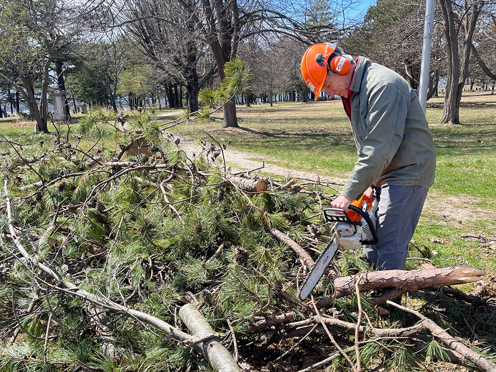 Peter Monro clearing storm debris at Western Cemetery with chainsaw