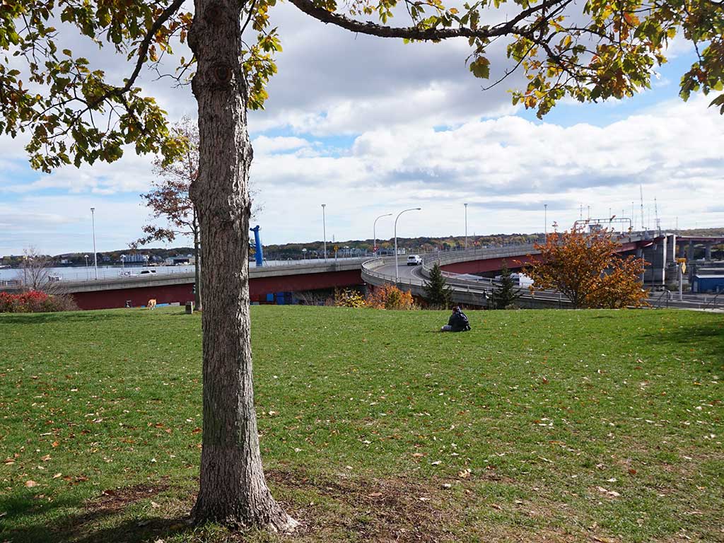 West End News - Harbor View Park in early autumn, the park may become part of a new intergenerational recreation and respite area