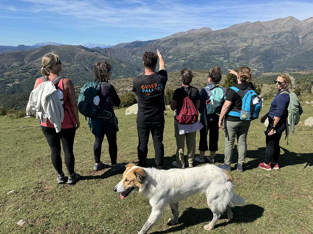 Hiking Catalonia with views of the Pyrenees and friendly local dog