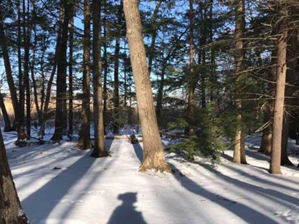 West End News - Snow and trees on Loon Mtn.