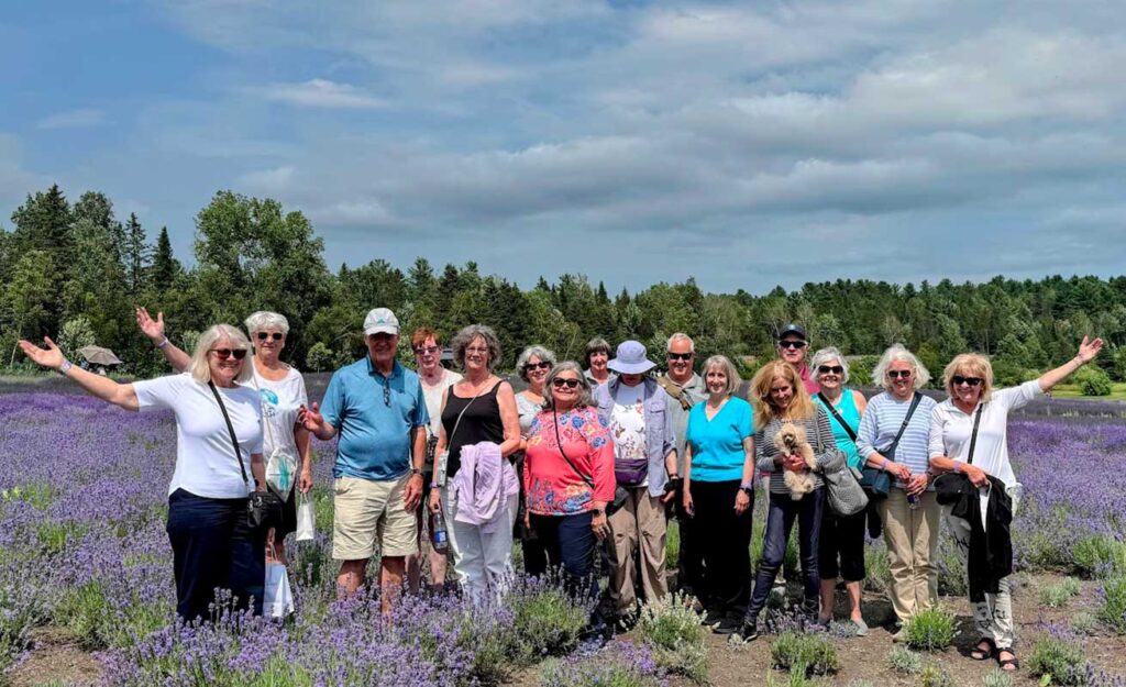 Adventure Marketplace group tour of fields of Lavender at Bleu Lavende.