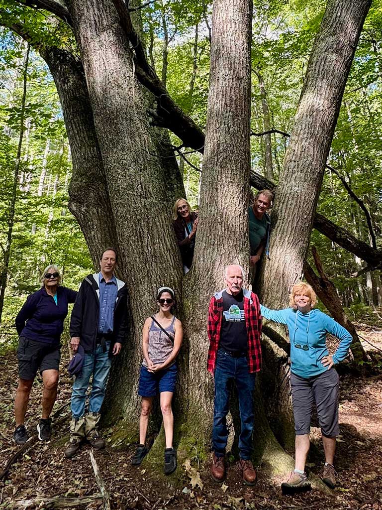 MOAC hikers on the Mill Brook South Preserve trail, a local gem