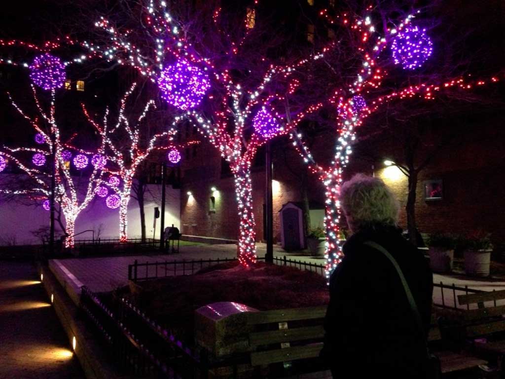 Congress Square winter city lights designed by Pandora LaCasse