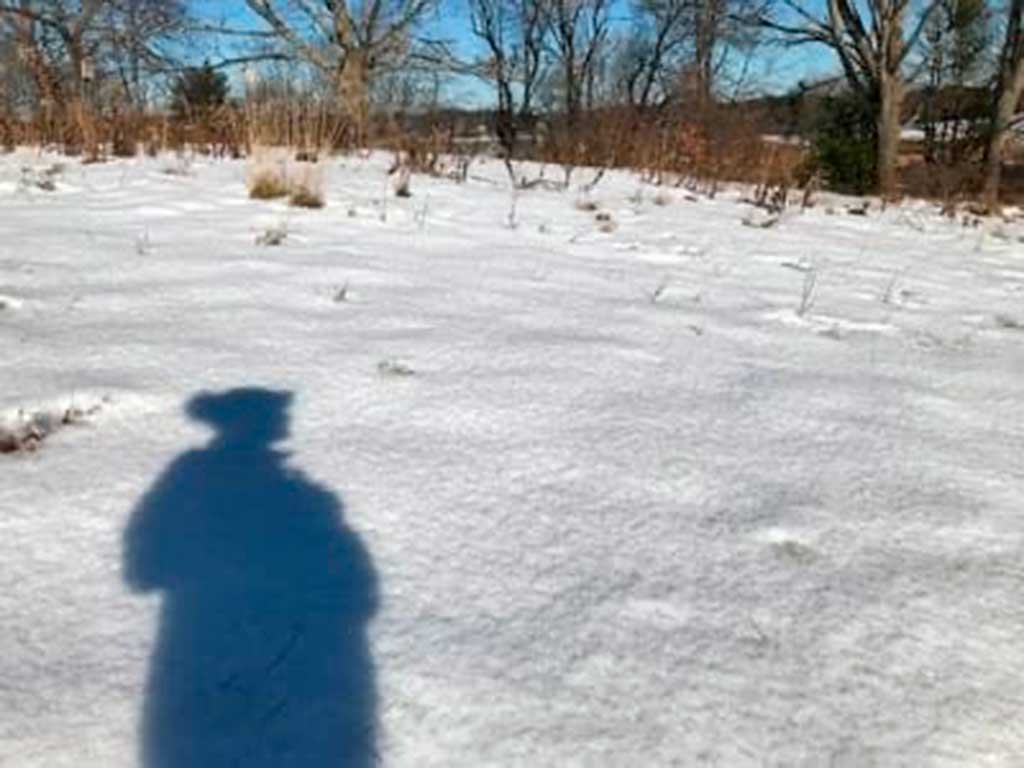 The Power of the Pause - Holiday Self-Care