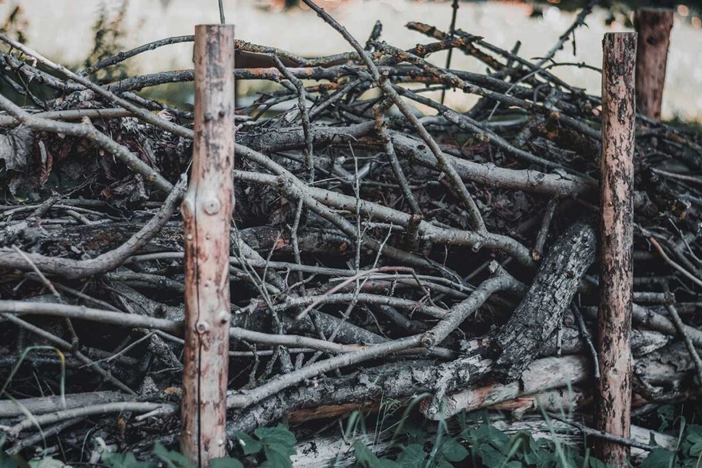 Backyard wildlife habitat - Example of a dead hedge