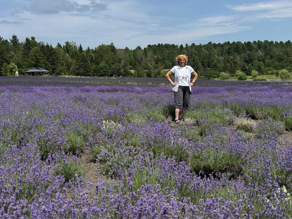 Nancy Dorrans in Blue lavender in Eastern Townships of Quebec