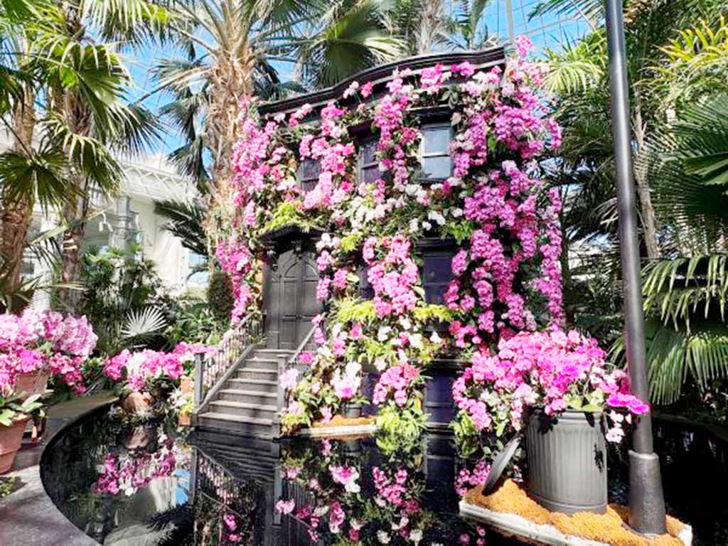 Orchid Show