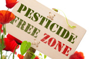 Group Seeks to Ban Pesticides