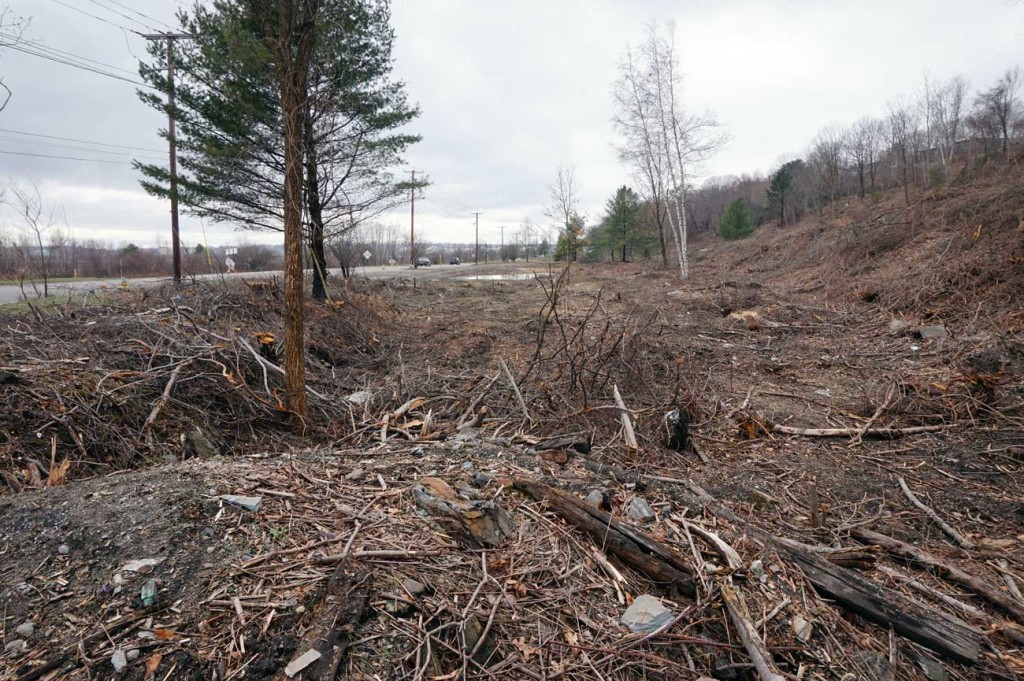 Clear cutting along western waterfront.