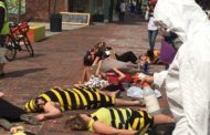 Debunking Colony Collapse Disorder