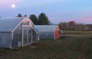 Growing Year-Round in Greenhouses with Replenova Farm – Peloton Posts