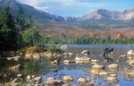 Protecting Land Along the Appalachian Trail – Peloton Posts