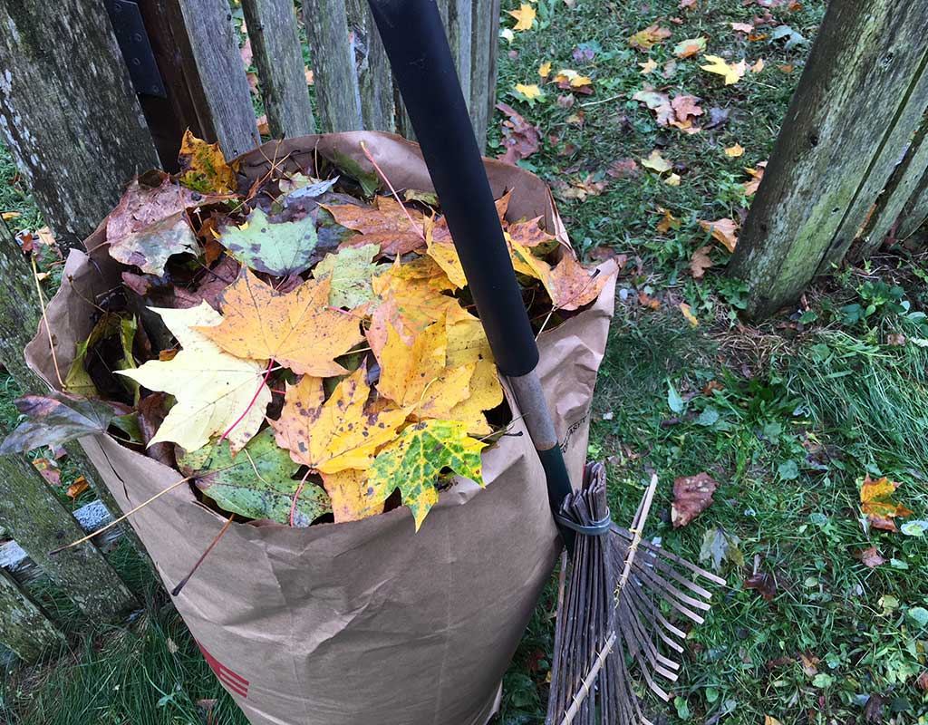 West End News - Leaf collection - bagged leaves and rake