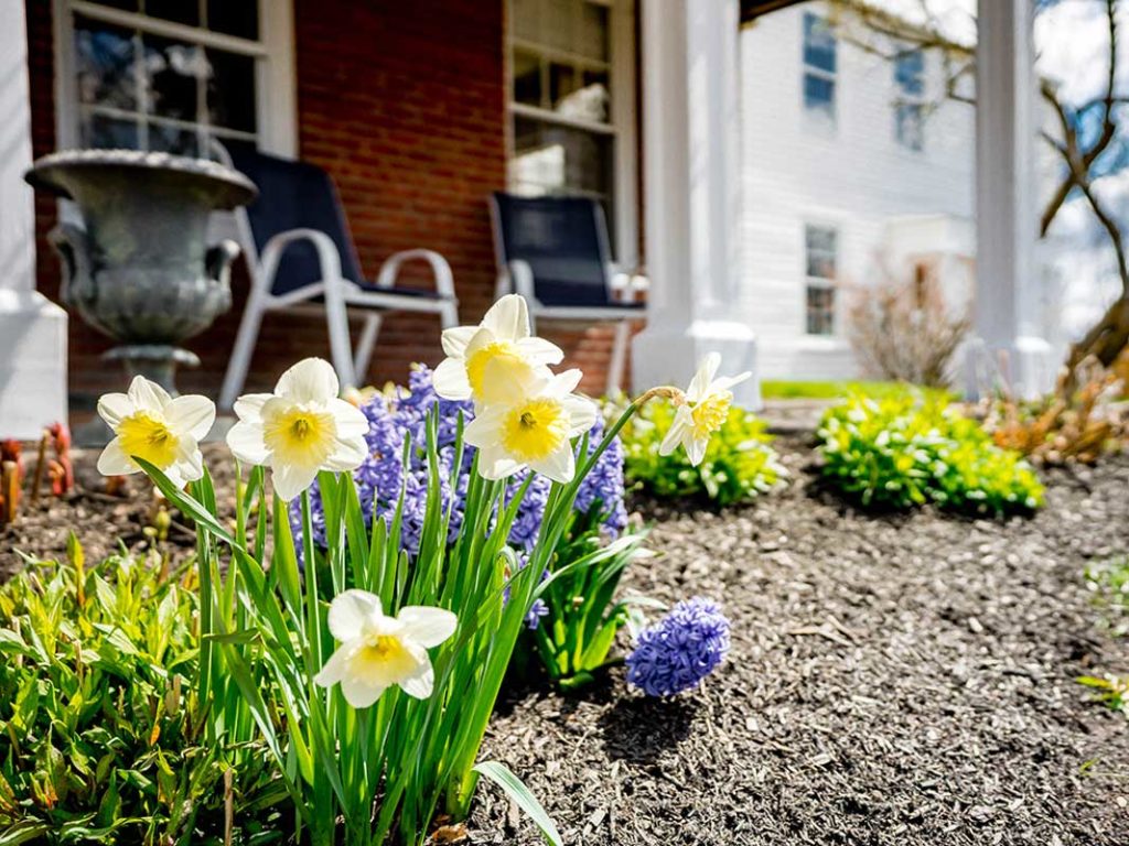 Benchmark Real Estate - 5 tips for prepping your house to sell in the Spring market