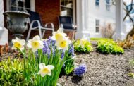 Prepping your House to Sell in the Spring Market