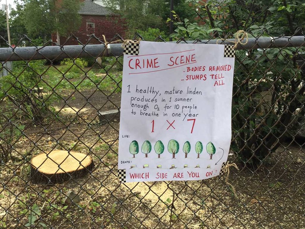 West End News - 'Crime Scene' sign at linden tree cutting that spurred heritage tree ordinance 