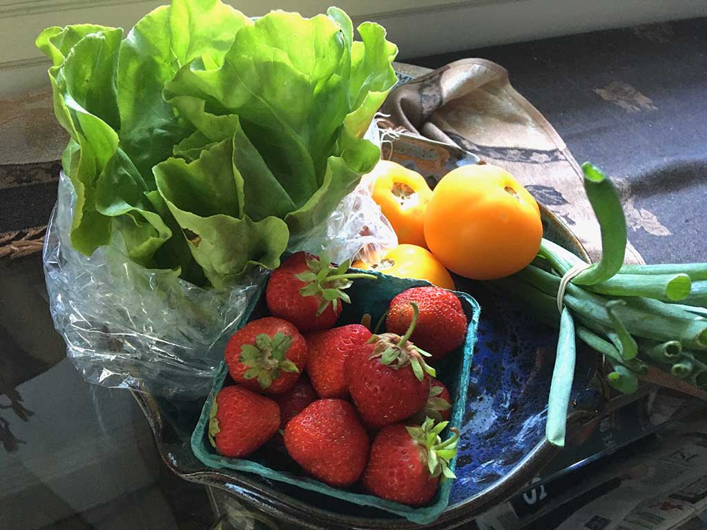 West End News - Selection of produce purchased at Portland Farmers Market