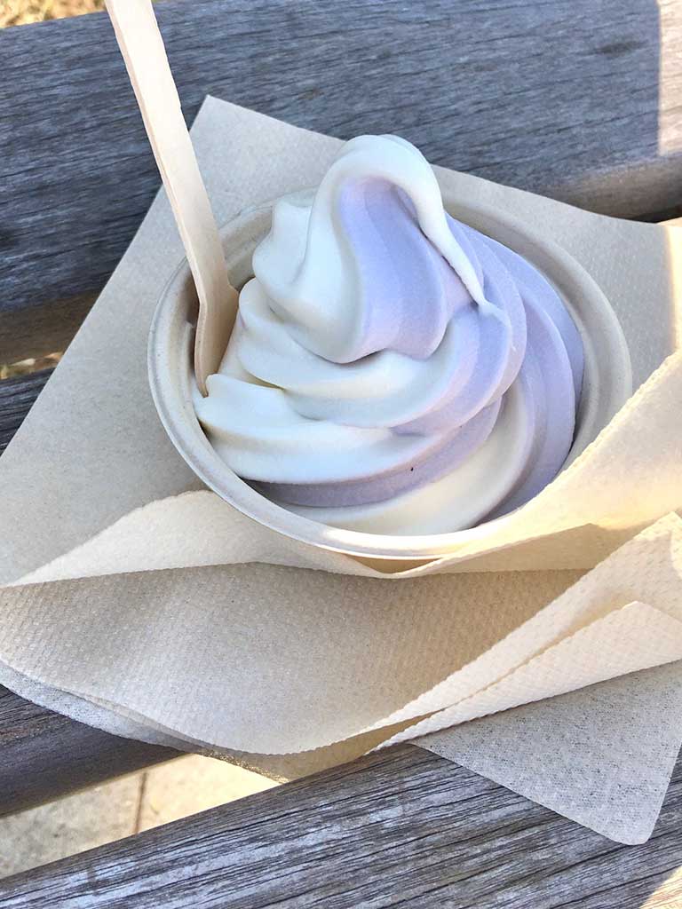 West End News - blueberry maple twist ice cream from Maine Maple Creemee Co