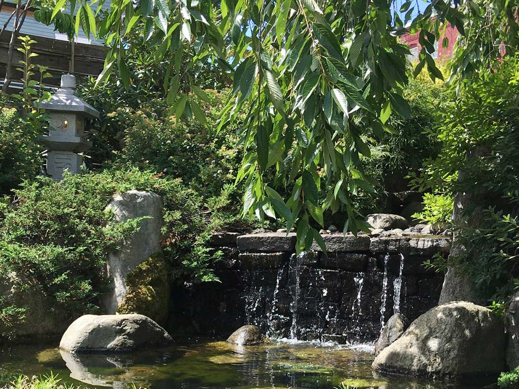 West End News - Yosaku water garden - By James Fereira