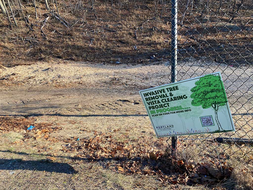 West End News - Western Prom Tree Removal of Invasive Species sign