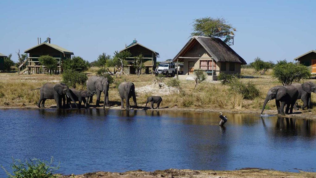 Elephant Sands bush camp in North Eastern Botswana