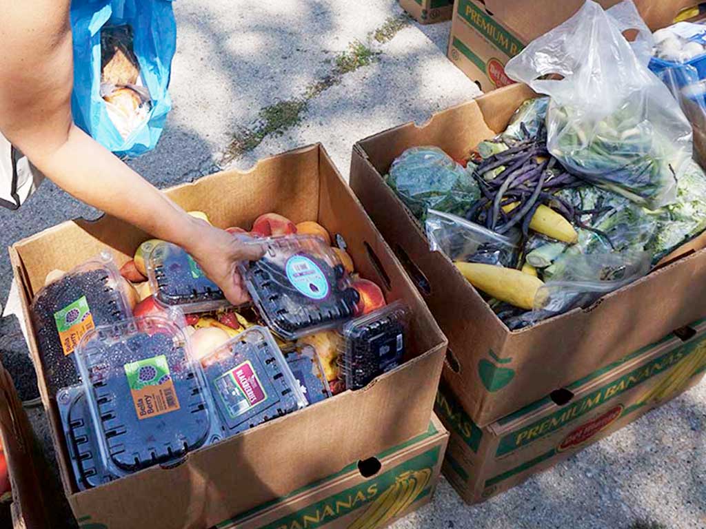 West End News - Food distribution at Reiche - File photo