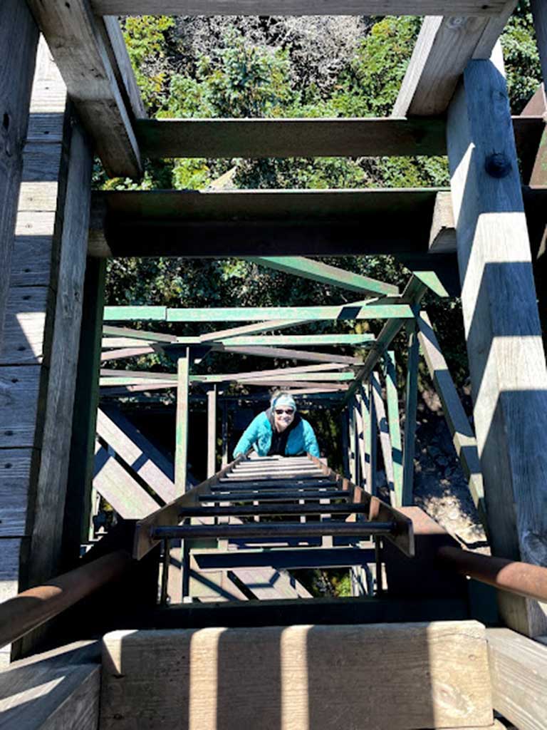 West End News - Old Speck Fire Tower climber